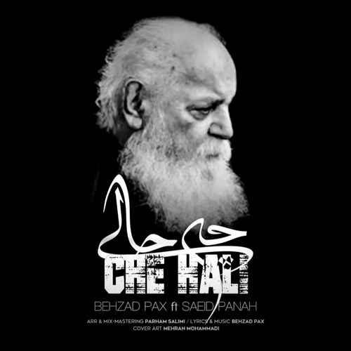 دانلود آهنگ جدید بهزاد پکس به نام چه حالی