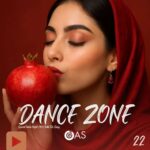دانلود پادکست جدید دی جی آس به نام دنس زون 22 (ویژه یلدای 1404)