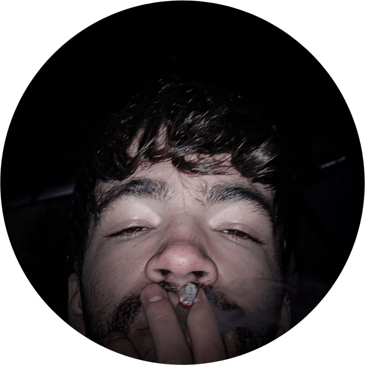 پروفایل تلخون